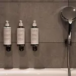 Molitor & - Mgallery Collection מלון 5*